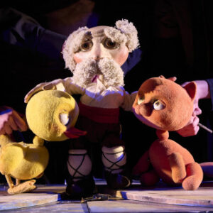 „Чаробни камен” ЈУ Градско позориште Подгорица, Црна Гора