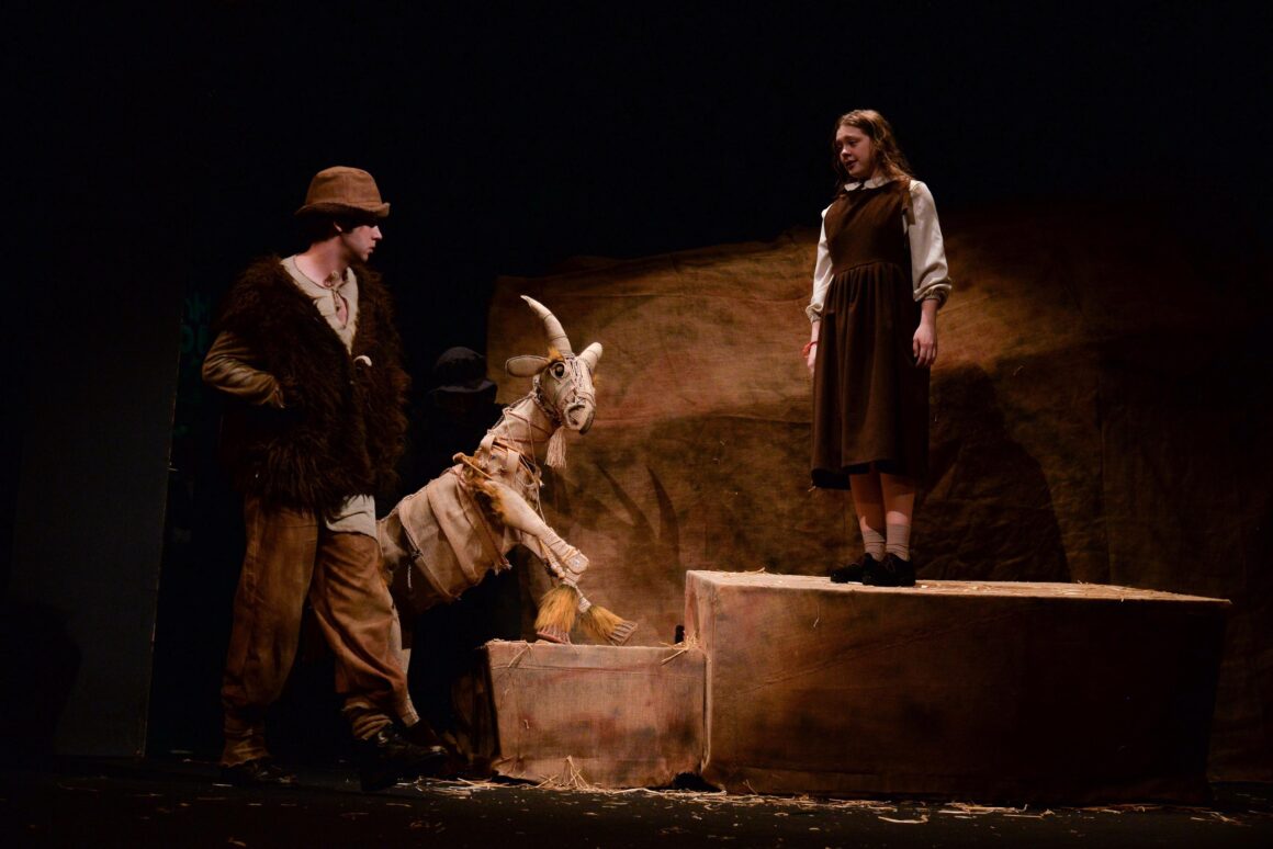 Heidi Puppet Theatre Nis, Serbia