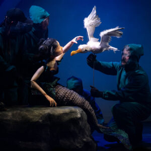 The Little Mermaid  Merlin Children’s and Youth Theatre Timisoara Timisoara, Romania